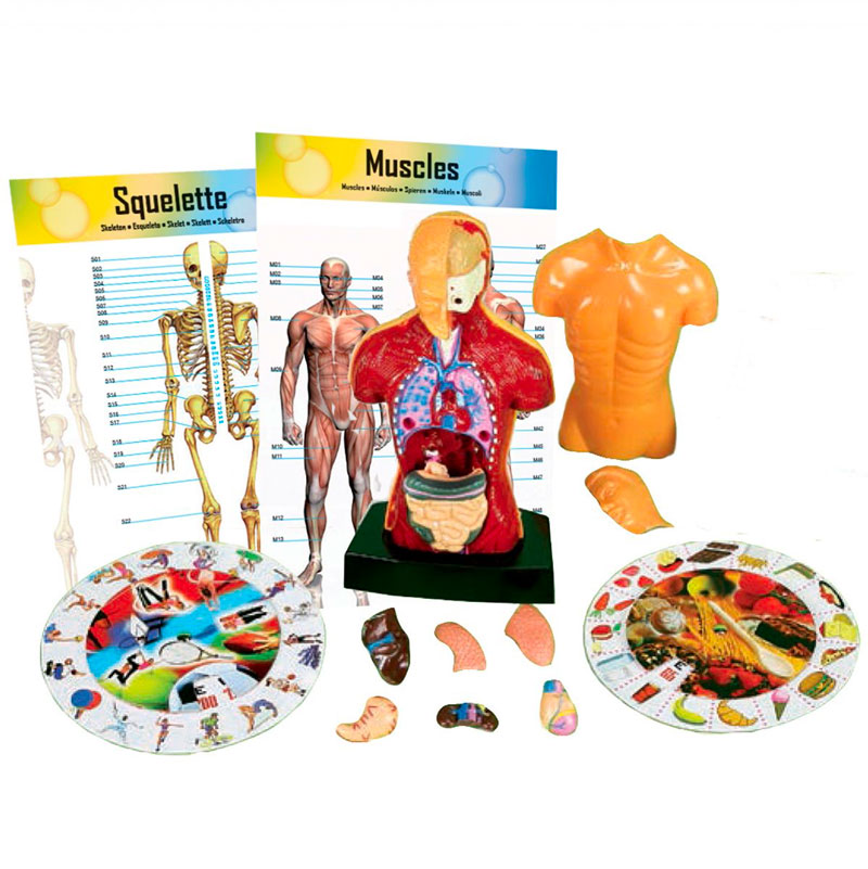 kaptaia science & nature human body set